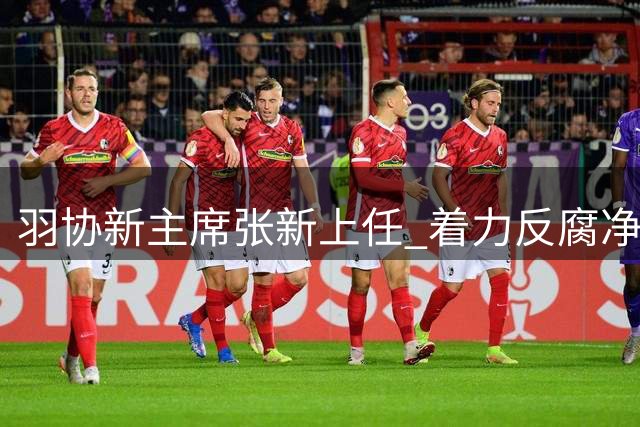 羽协新主席张新上任 着力反腐净化行业生态